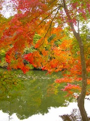 c0248013_17175461.jpg