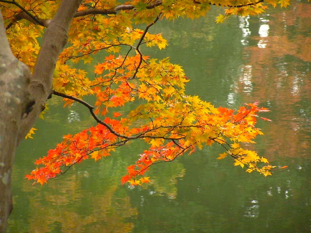 c0248013_176773.jpg