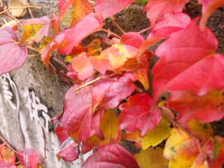 d0024220_2343311.jpg