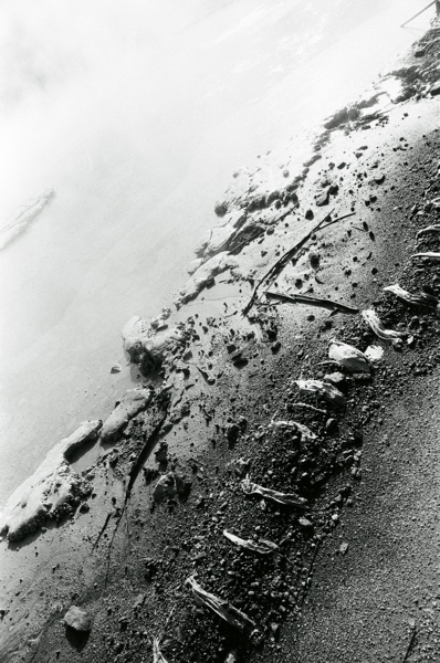 f0182924_2331859.jpg