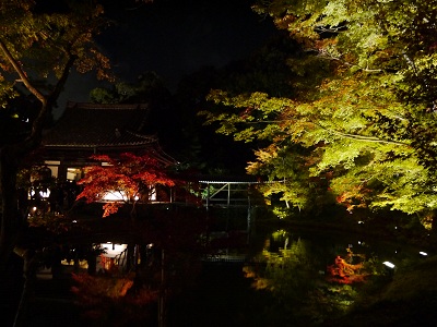c0235725_55754.jpg