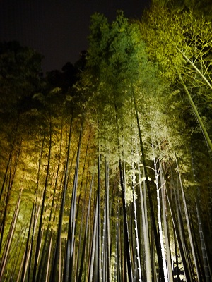 c0235725_58527.jpg