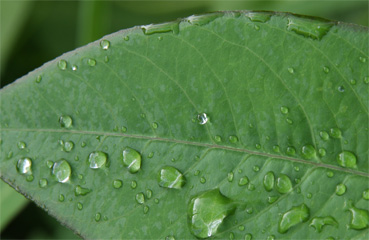 d0042827_21154530.jpg