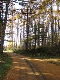 b0116933_11503755.jpg