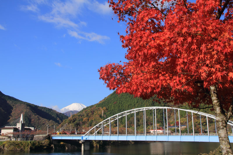 b0042837_21591331.jpg