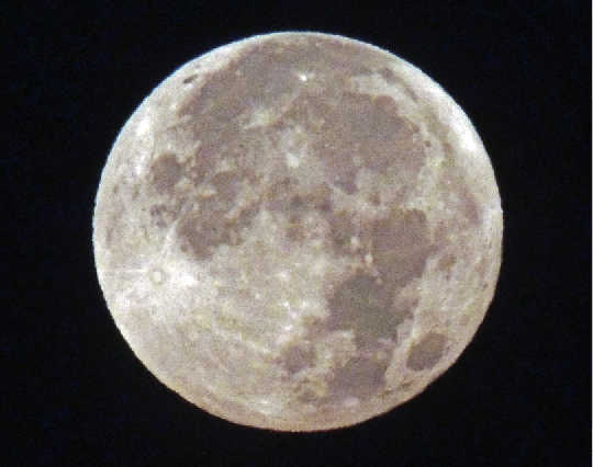 c0184737_18555337.png