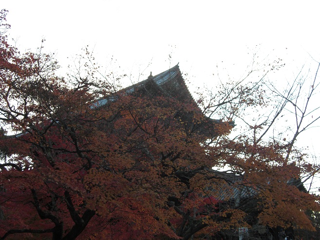 b0189343_9101078.jpg