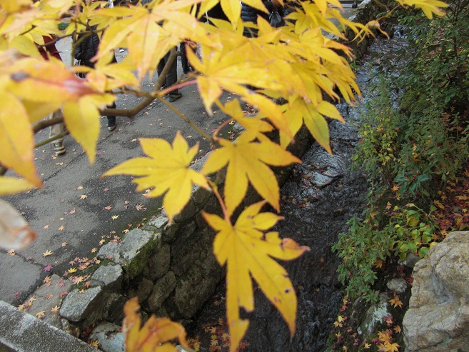 b0189343_9103738.jpg