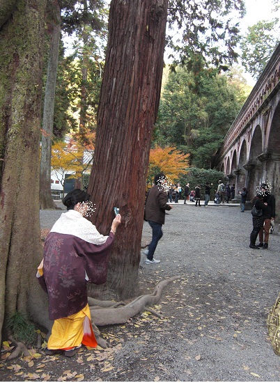 b0189343_983528.jpg