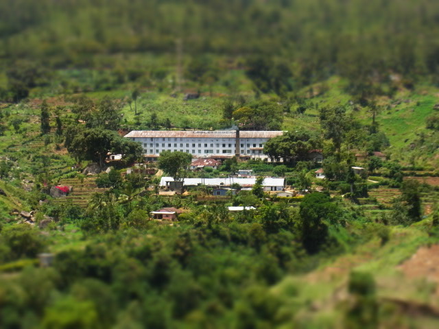 b0263744_1756038.jpg