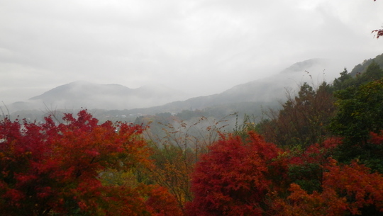 c0042847_17402285.jpg
