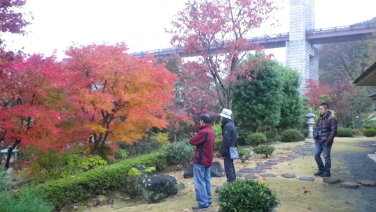 c0042847_17422999.jpg