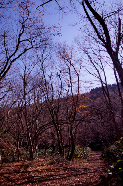 f0214649_5213622.jpg