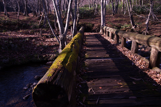 f0214649_5242032.jpg