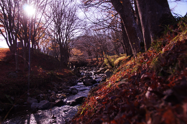f0214649_5265843.jpg