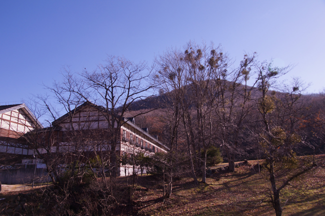 f0214649_5274555.jpg