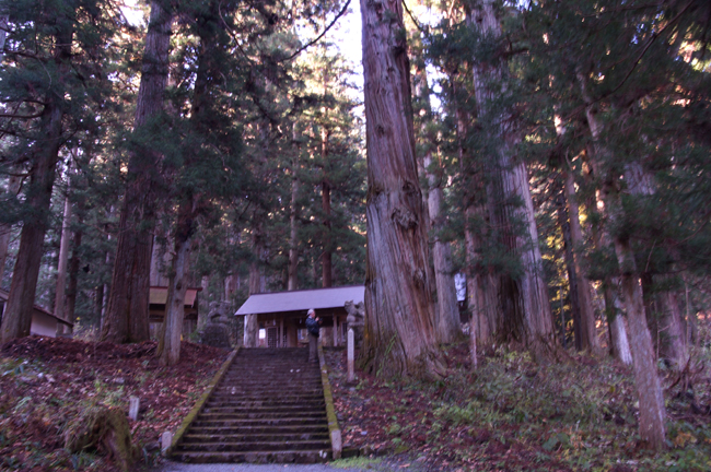 f0214649_5335637.jpg