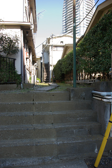 c0080357_0195285.jpg