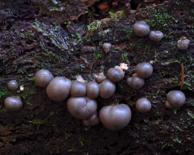 e0035757_18301525.jpg