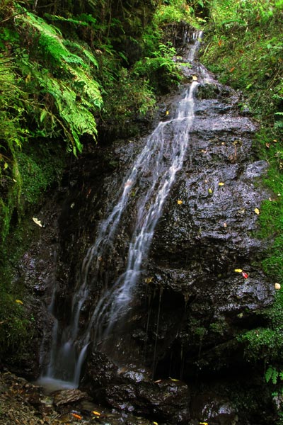 e0035757_18325216.jpg