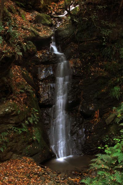 e0035757_18375782.jpg