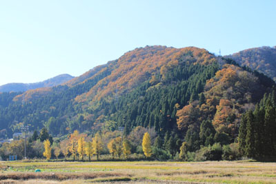 c0117570_1621840.jpg