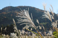c0117570_16514176.jpg