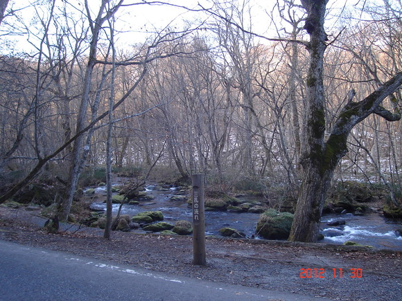 a0188775_8355219.jpg