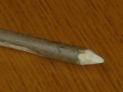 e0253983_20122199.jpg