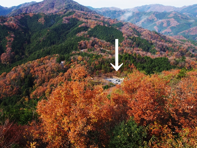 f0103688_2054112.jpg