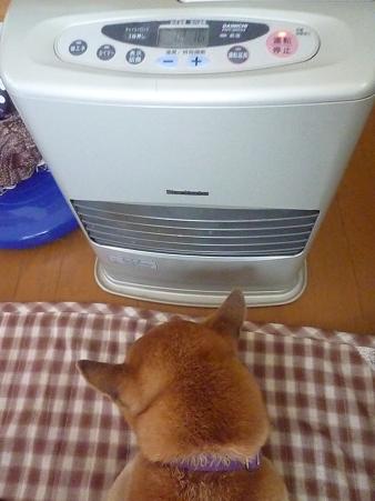 c0123890_19491791.jpg