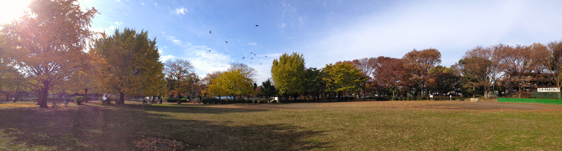 e0176691_104641.jpg