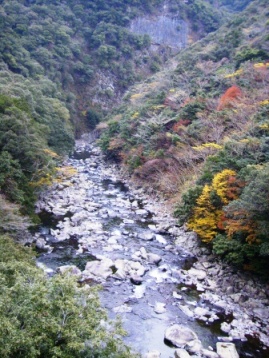e0280693_1665592.jpg