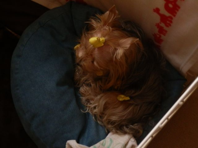f0130894_21454180.jpg