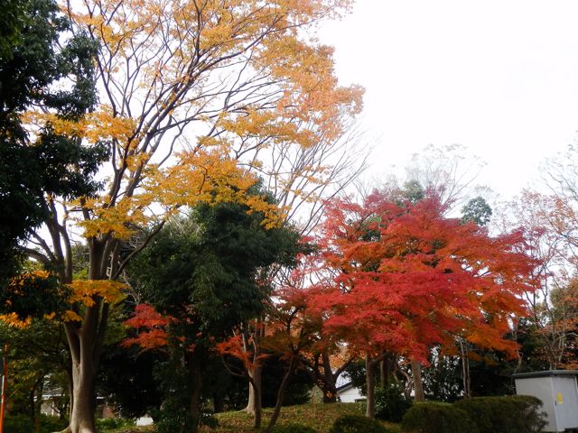 f0130894_2147443.jpg