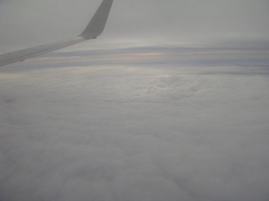 c0191597_1057487.jpg