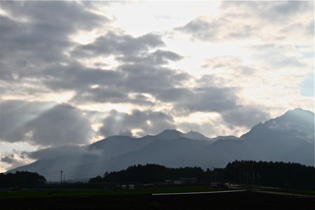 a0218499_163448100.jpg