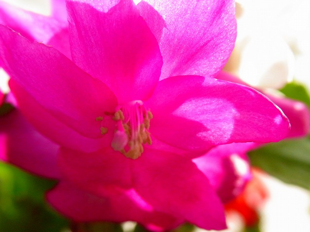 f0157901_15512988.jpg