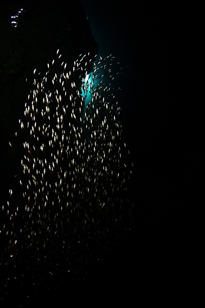 b0110406_18124071.jpg