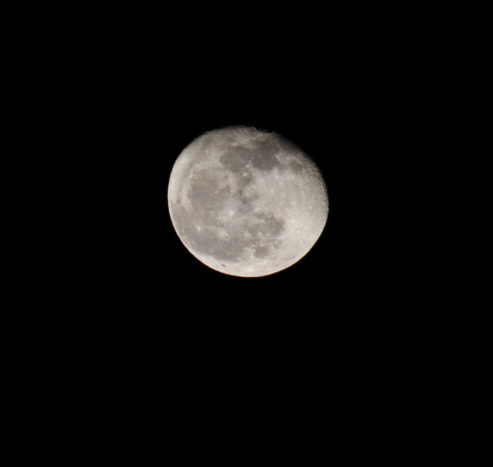 e0193207_215867.jpg