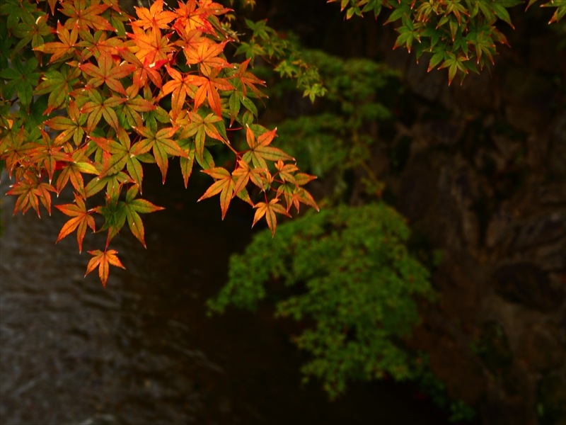 c0146510_21552016.jpg