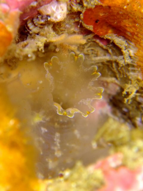 d0175710_753150.jpg