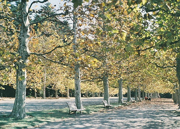 e0202310_8272880.jpg