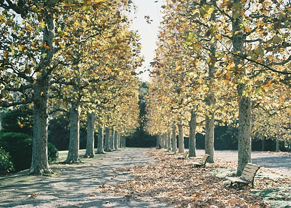 e0202310_8342333.jpg