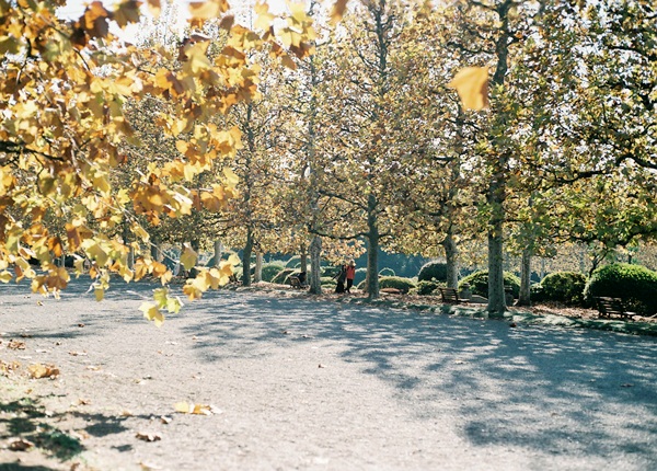 e0202310_835181.jpg