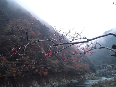 c0146714_10812.jpg