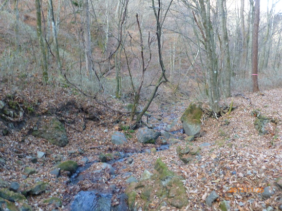 f0033314_15594524.jpg