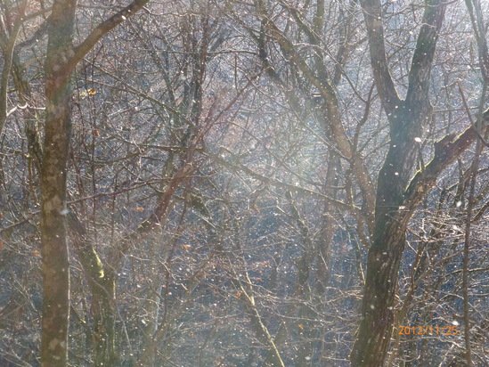 f0033314_17392228.jpg