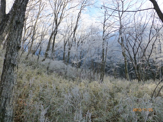 f0033314_17452843.jpg