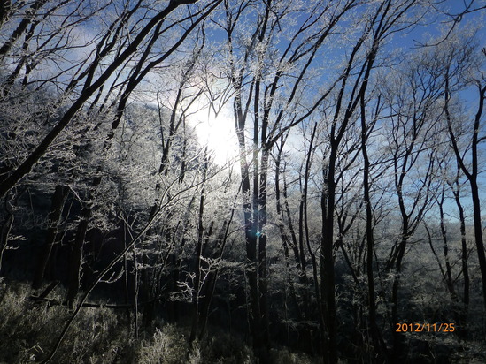 f0033314_17465416.jpg